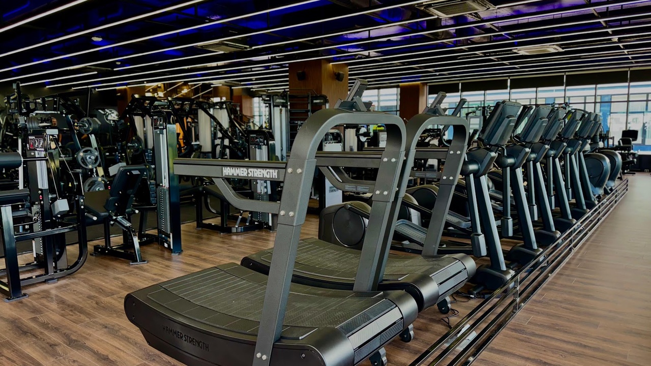 Mega Gym Fitness