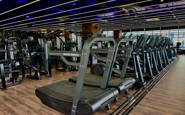 Mega Gym Fitness, ספורט