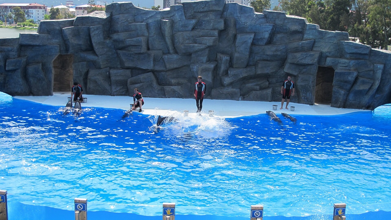 Batumi Dolphinarium