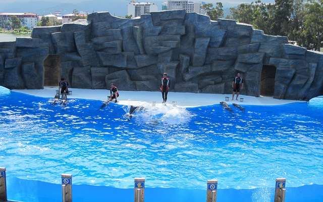 Batumi Dolphinarium, בילוי משפחתי