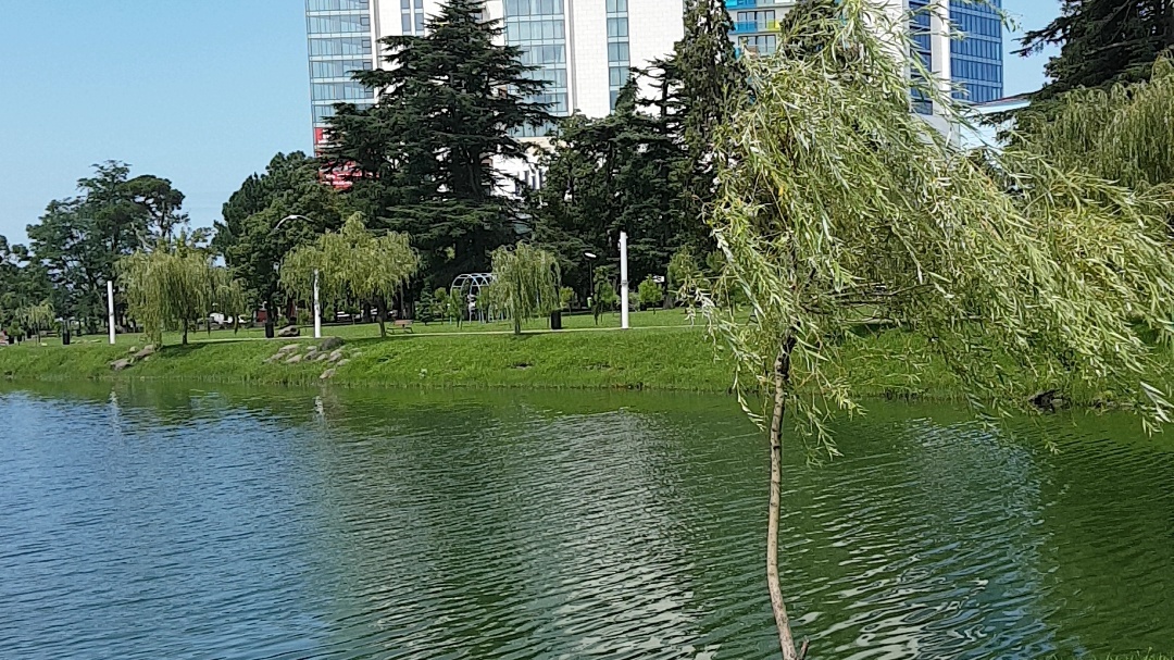 Hilton Batumi