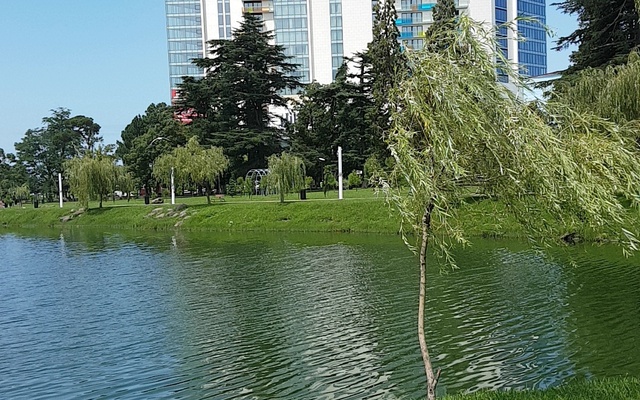Hilton Batumi, الفنادق